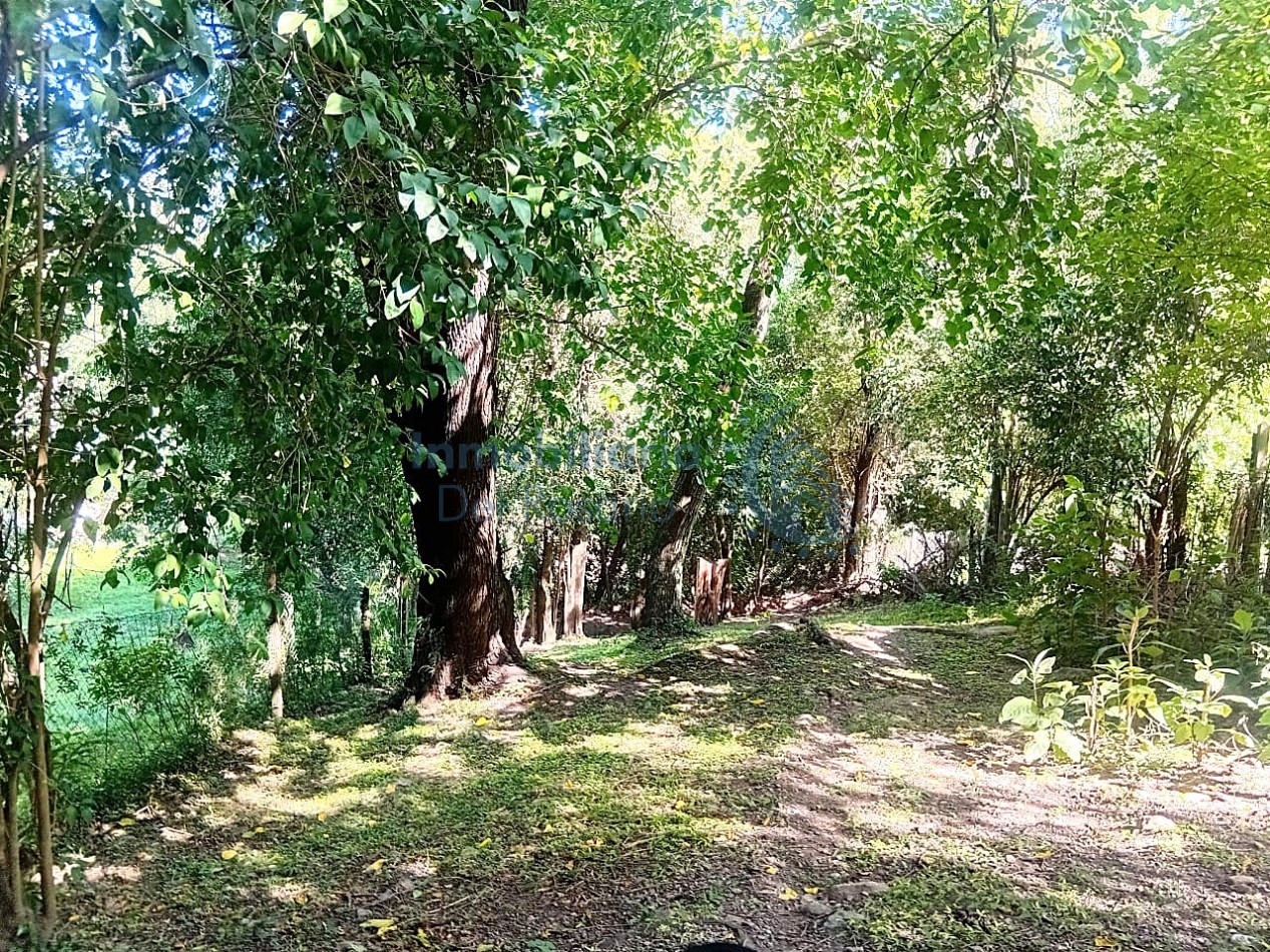 VENDO CASA UNQUILLO